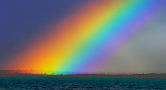 arcobaleno 11 lista